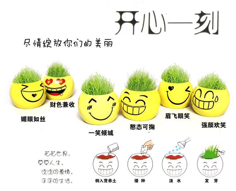 淘花岛主的个人主页_e<em>度空间</em>