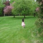 FREEDOM