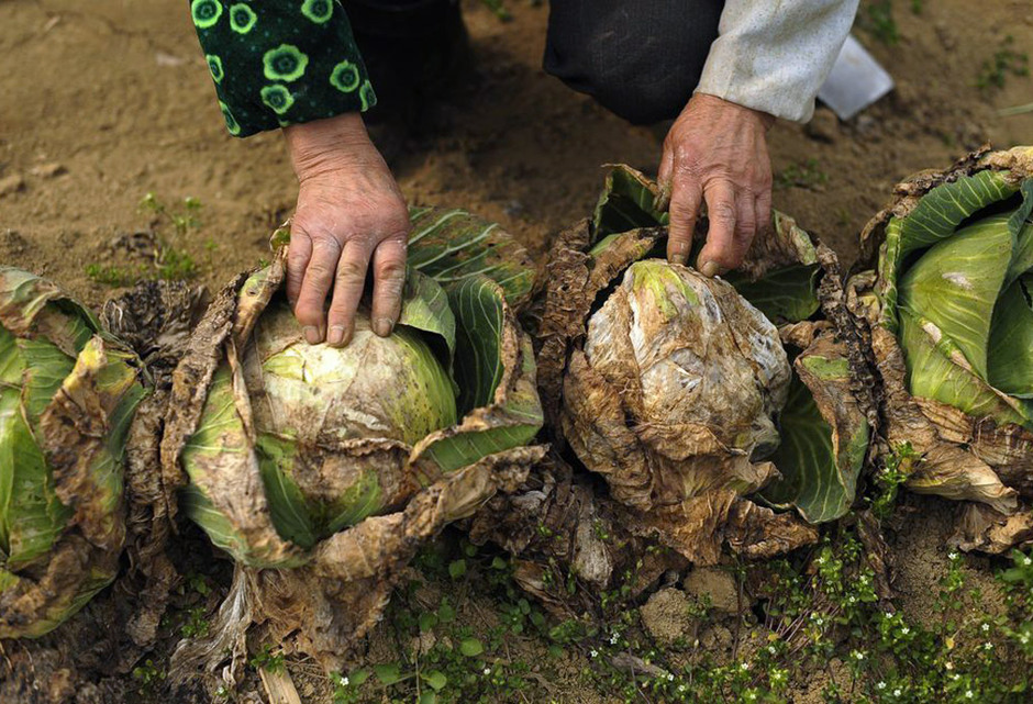  e度 教育 社区 广州站每日签到帖(4月10日)【西南