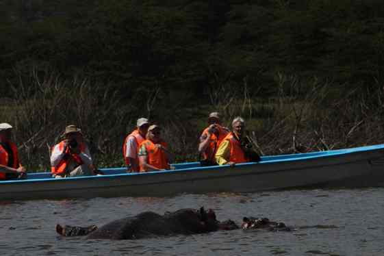 【走遍天下】+非洲观动物大迁徙_羊城荟-广州