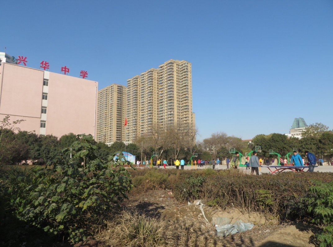 郑州市初中奥林匹克数学分校--兴华中学 - 201