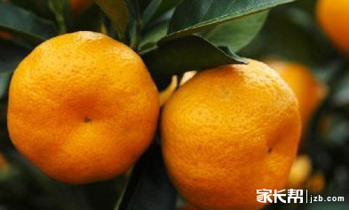 多给孩子吃这8种食物提高记忆力_2015宁波中