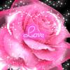 love ����