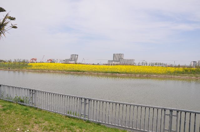 上中东校独家谍照! - e度教育论坛